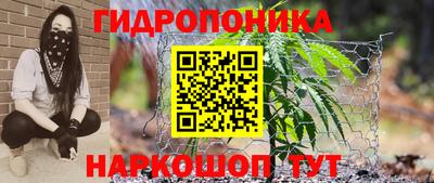 прущая мука Свободный