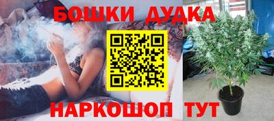 дмт Севастополь