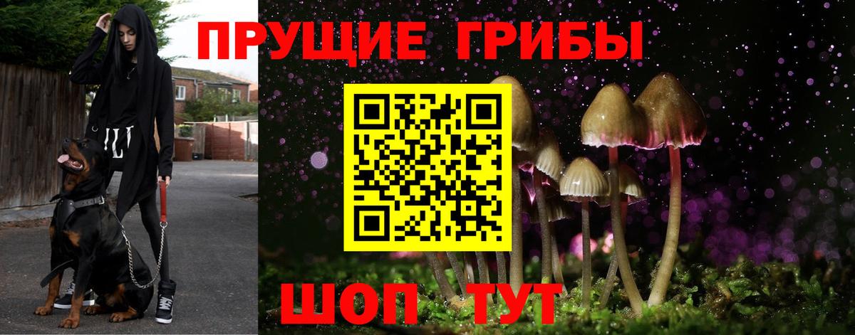 Псилоцибиновые грибы мухоморы Павловский Посад